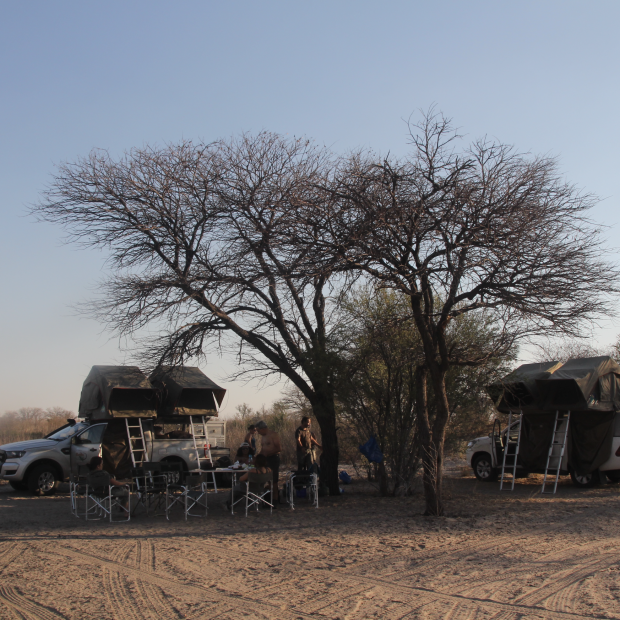 BOTSWANA, ZIMBABWE & ÁFRICA DO SUL