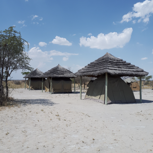 BOTSWANA, ZIMBABWE & ÁFRICA DO SUL