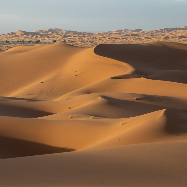 MARROCOS EM FAMÍLIA