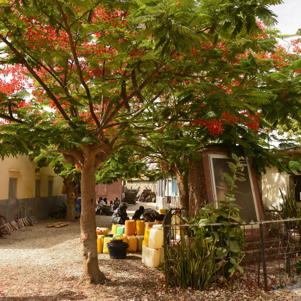 SENEGAL, GÂMBIA & GUINÉ BISSAU