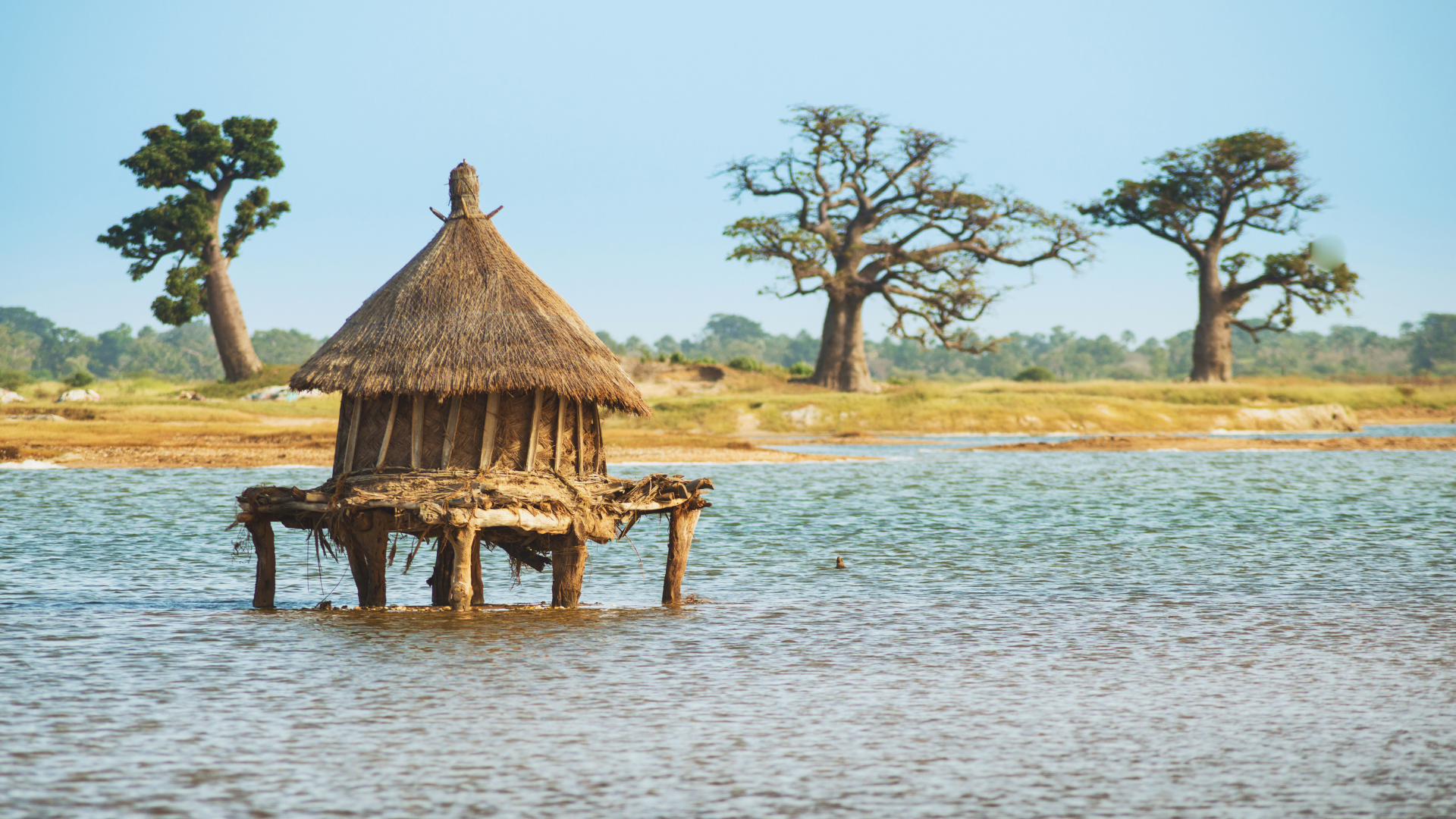 senegal