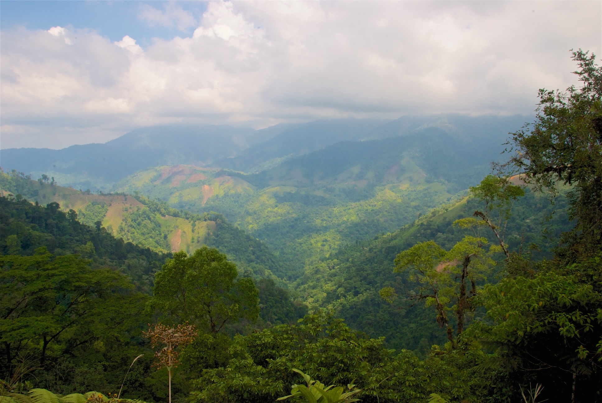 costa-rica-1-3.jpg