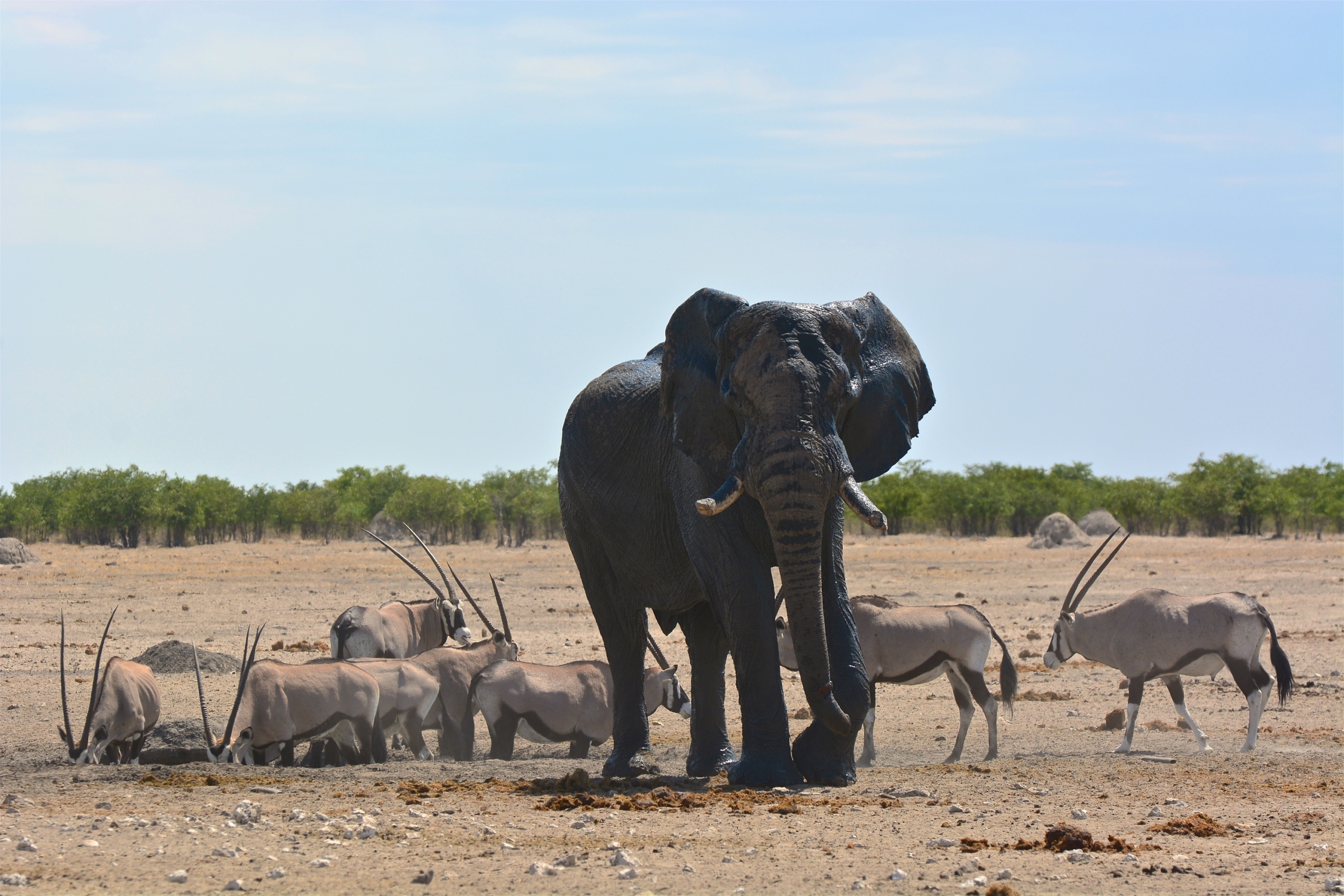 namibia-1-1.jpg