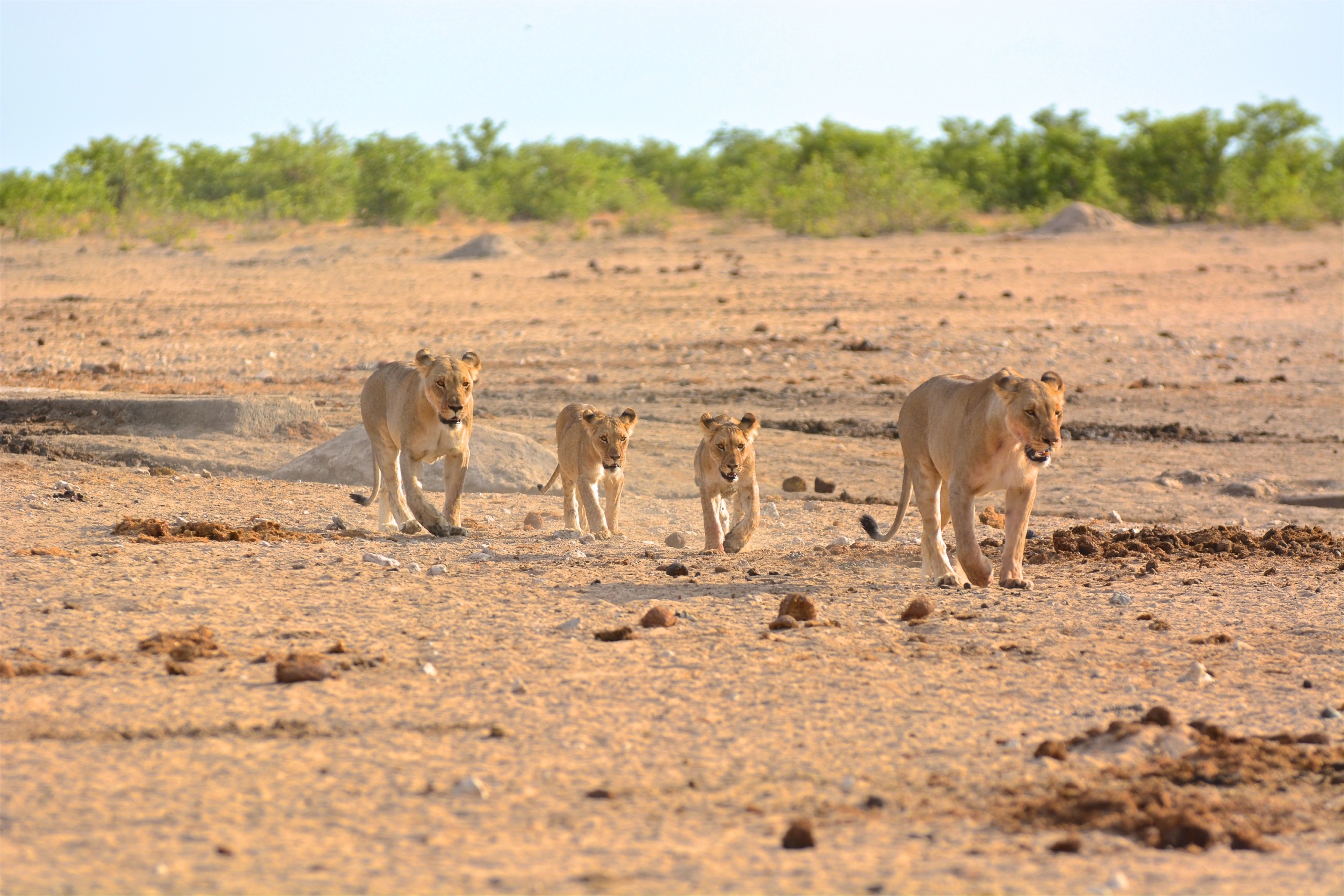 namibia-1-2.jpg