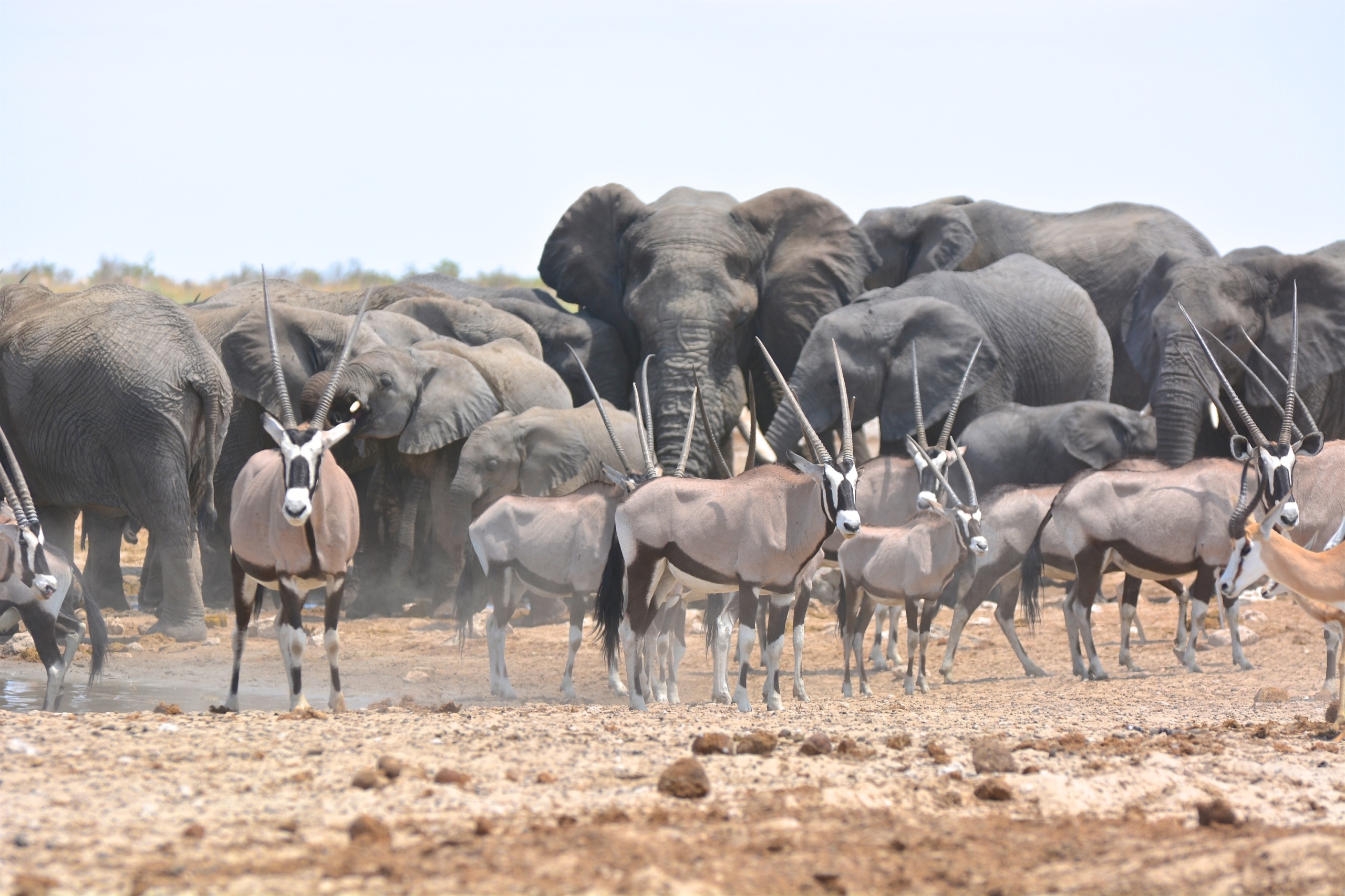 namibia-1-3.jpg