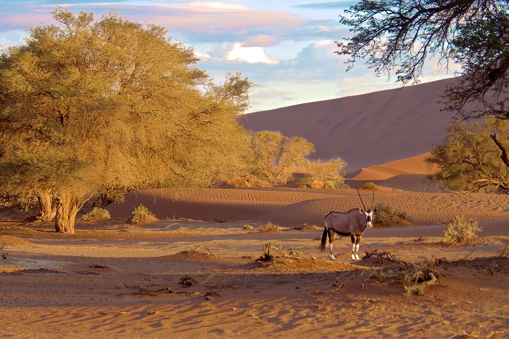 namibia-3.jpg