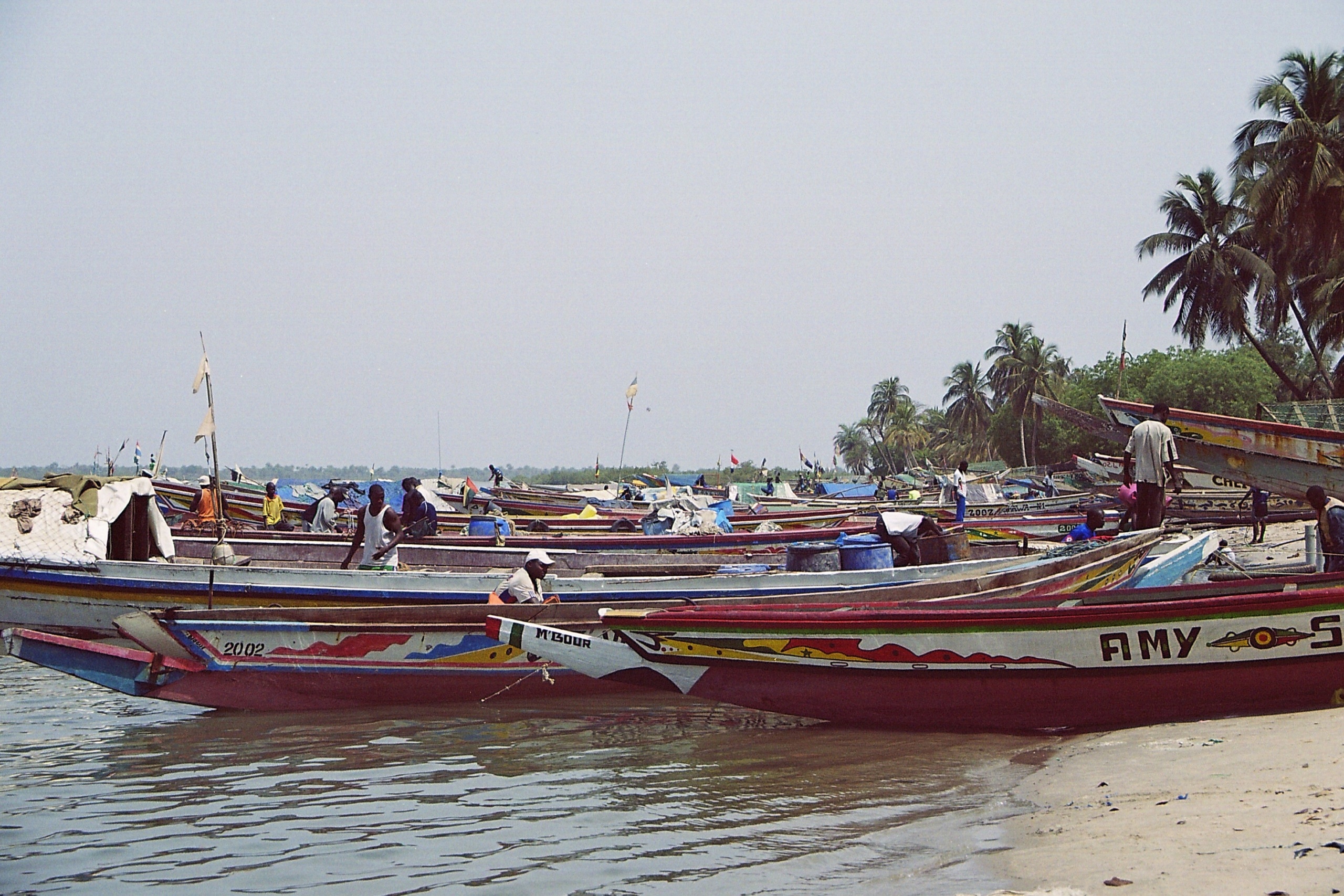 senegal-3.jpg